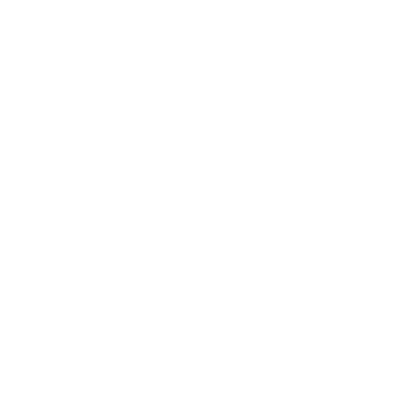 ⓜ Pilates Reformer